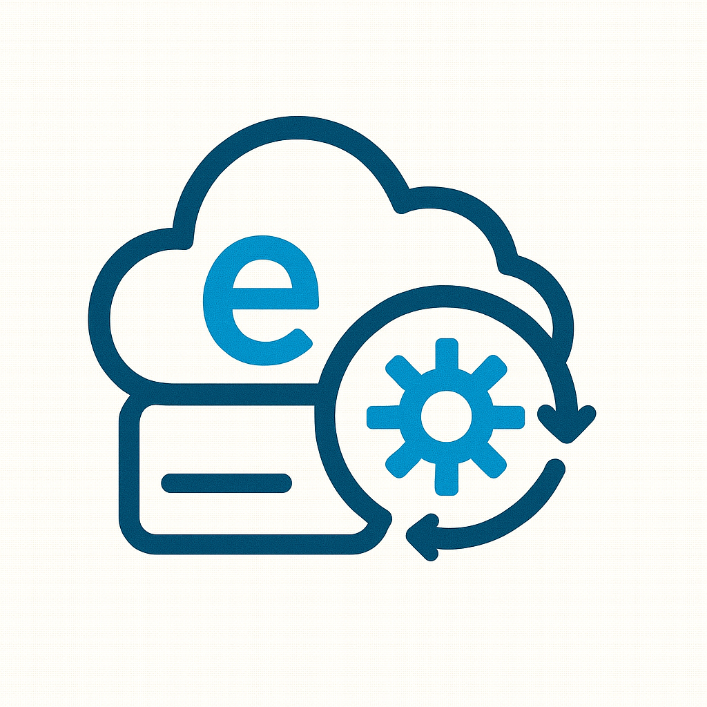 eDönüşüm kategorisi